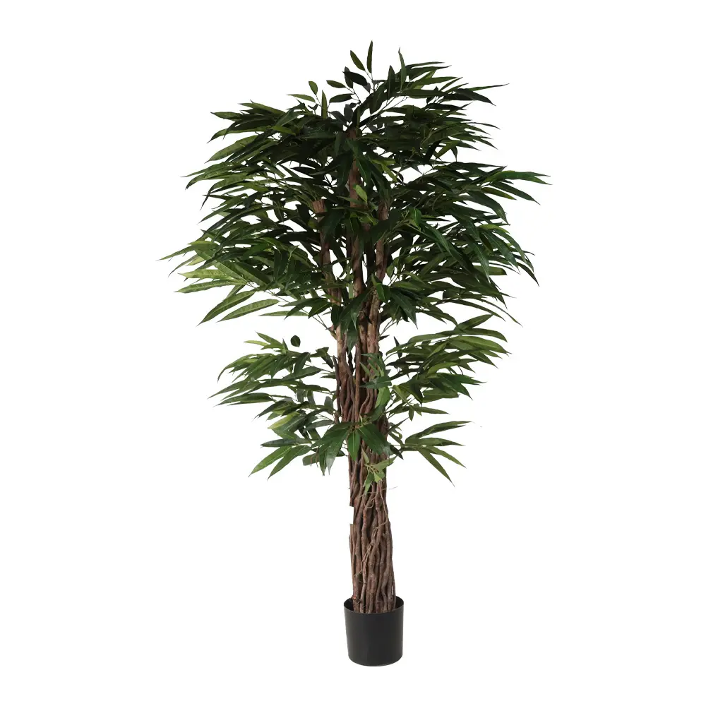 180cm Longifolia tree con meceta