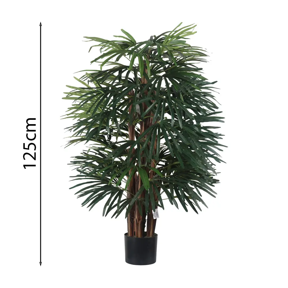 Raphis Palm Con Maceta 120cm