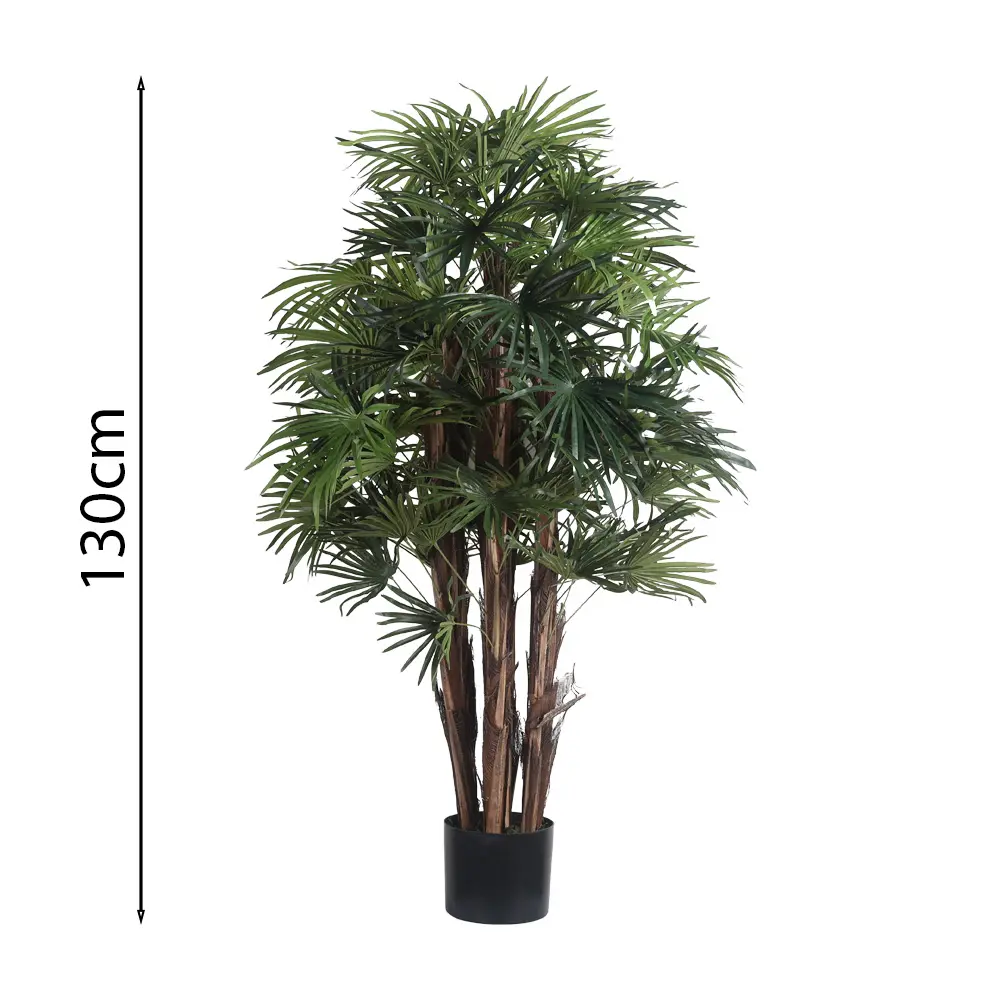 Raphis Palm Con Maceta 120cm