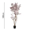 180cm Cherry blossom tree pink with pot