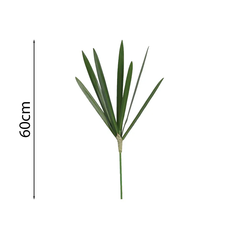 Mata de Hojas de Cimbidio (7 hojas) 60cm