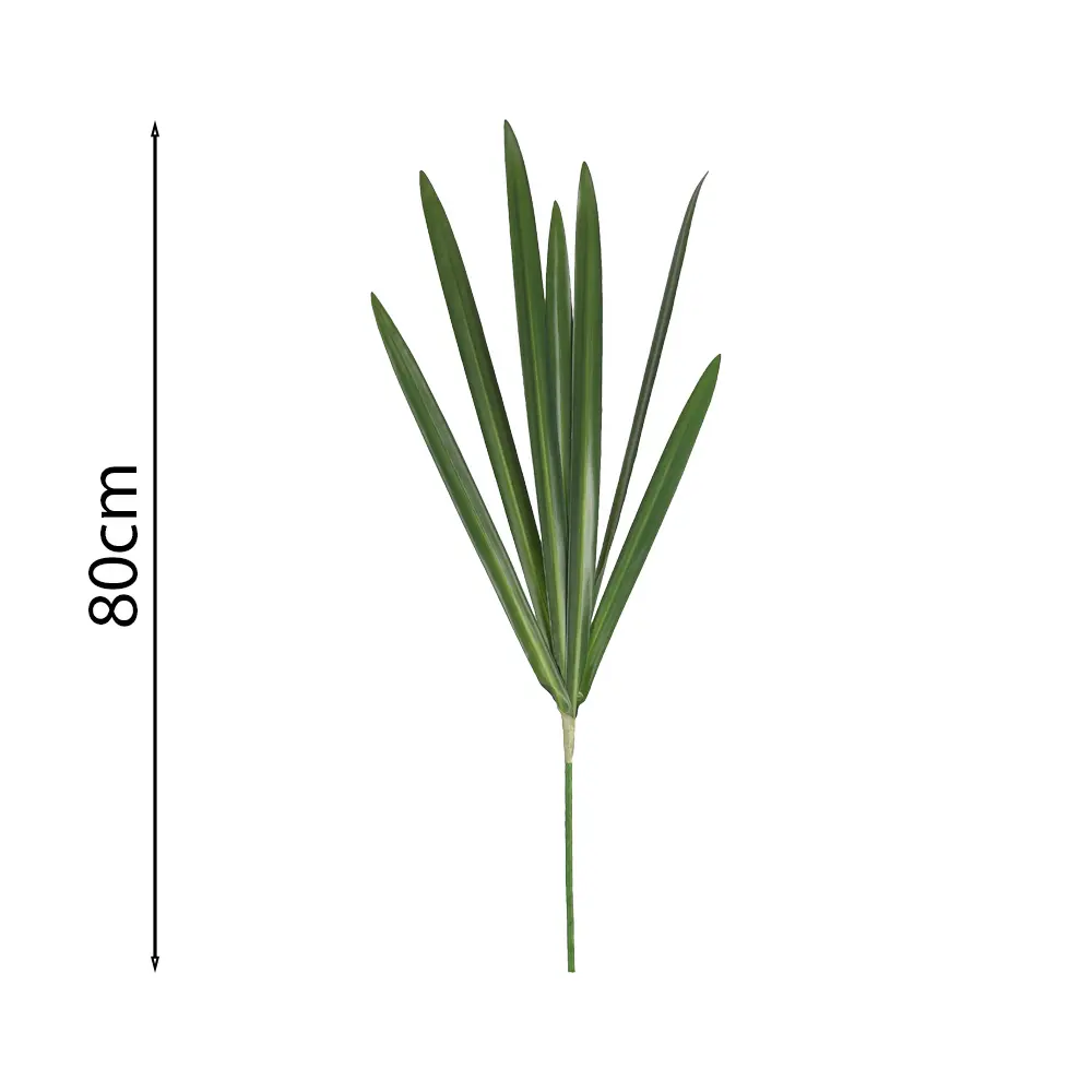 Mata de Hojas de Cimbidio (7 hojas) 80CM
