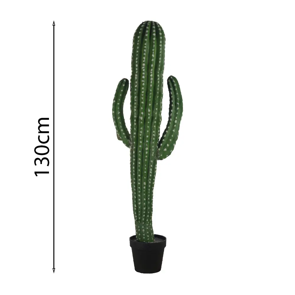 Cactus candelabro 130cm