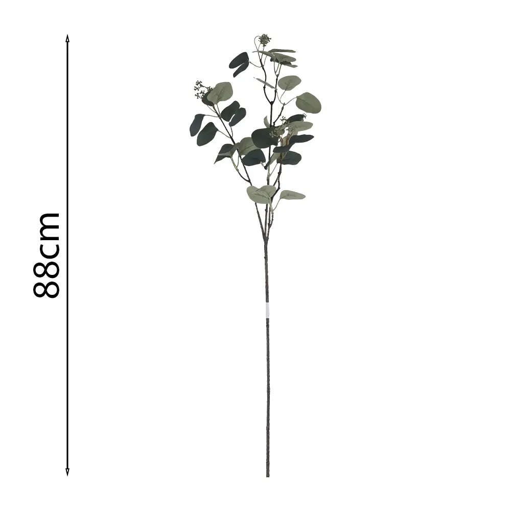 Vara de Eucalipto 88cm