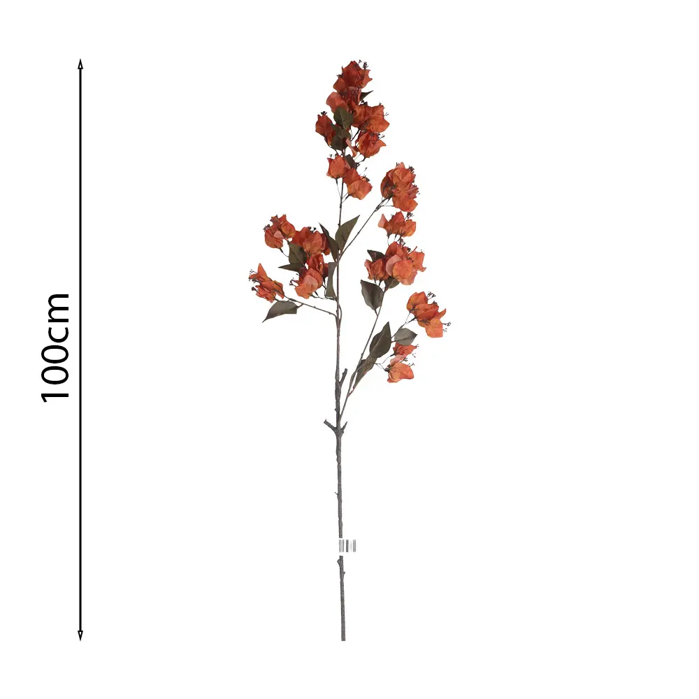 Vara de Buganvilla Colgante 100cm .3