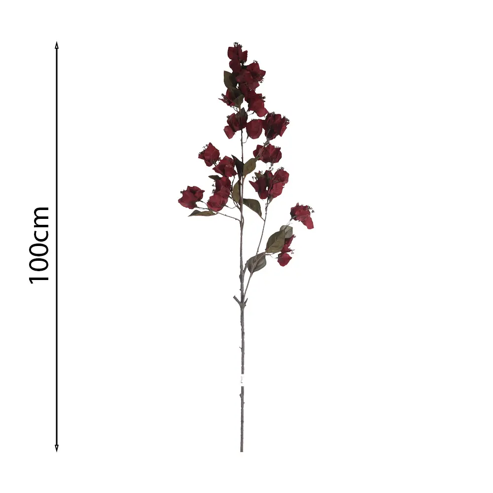 Vara de Buganvilla Colgante 100cm .4