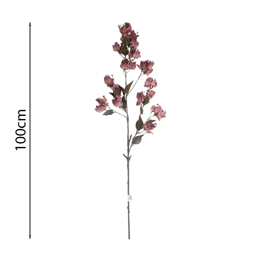 Vara de Buganvilla Colgante 100cm .5