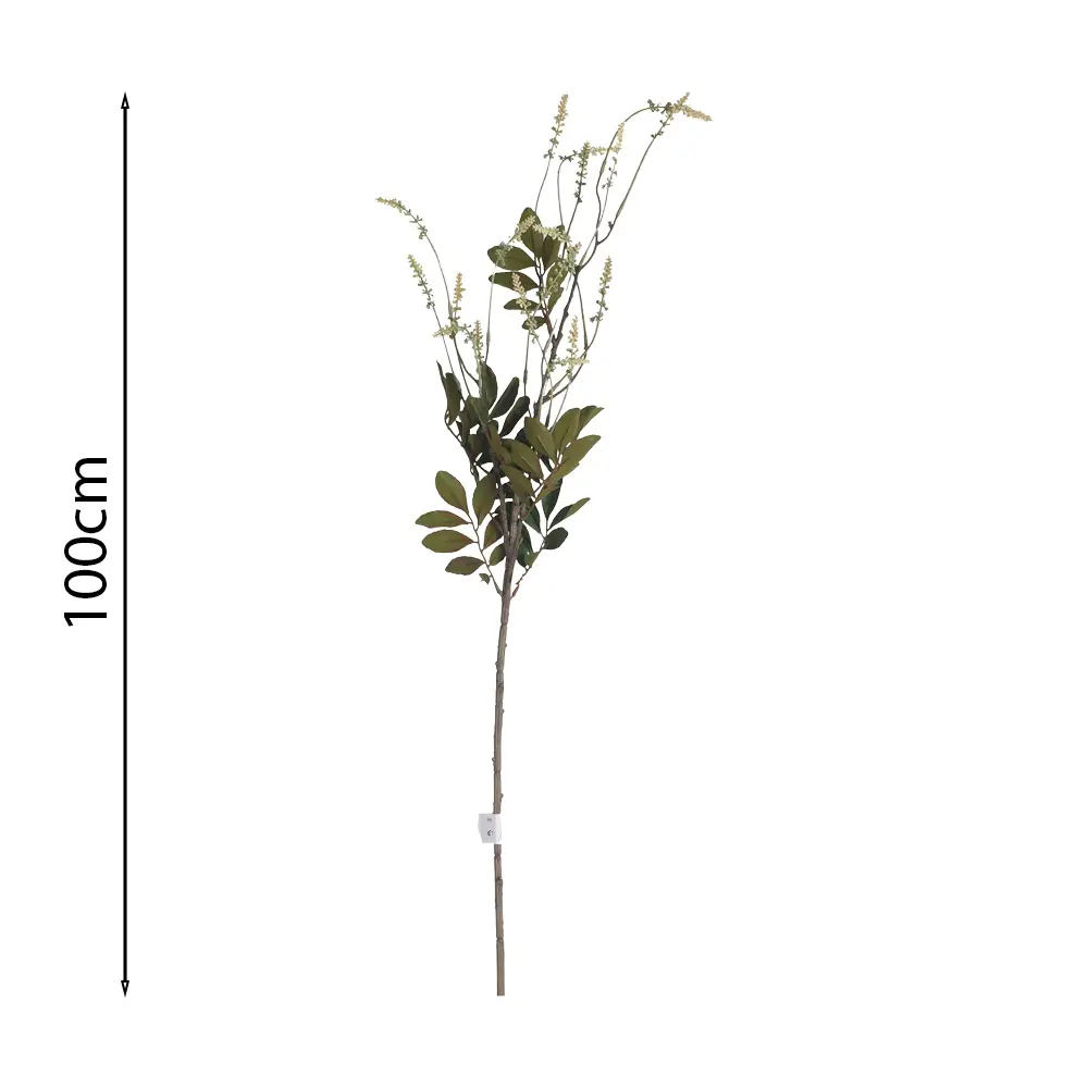 Vara de Acacia Silvestre 100cm .1