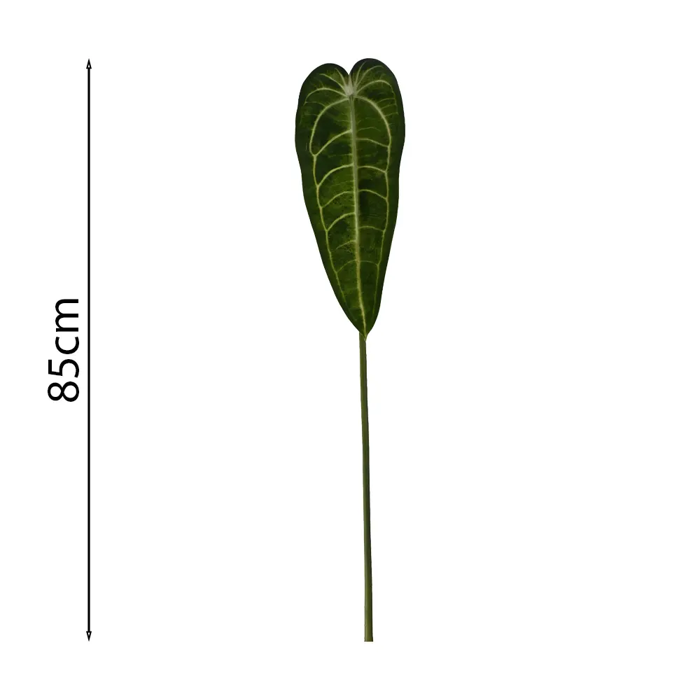 Hoja Alocasia Amazonica 85cm