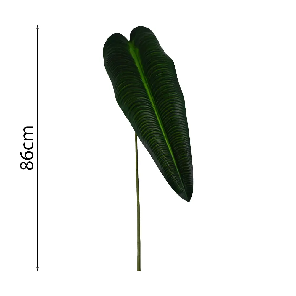 Hoja de Alocasia 86cm