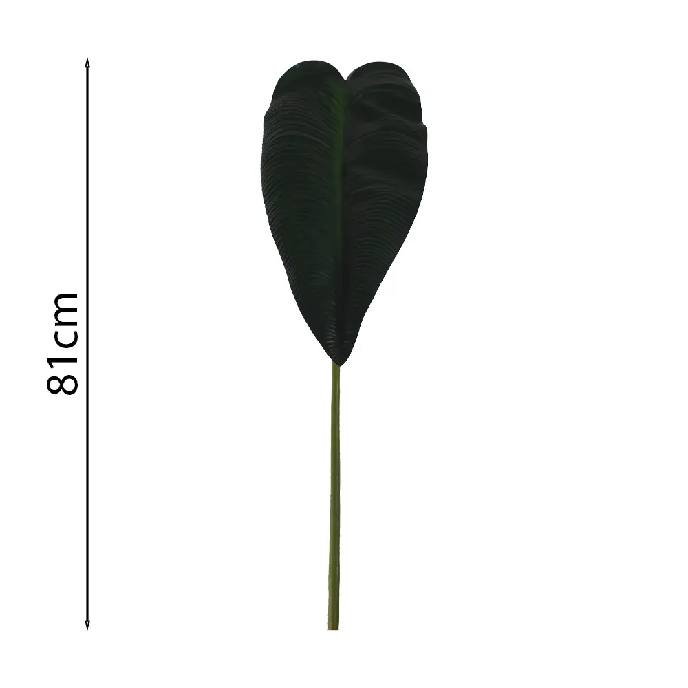 Hoja de Alocasia 81cm