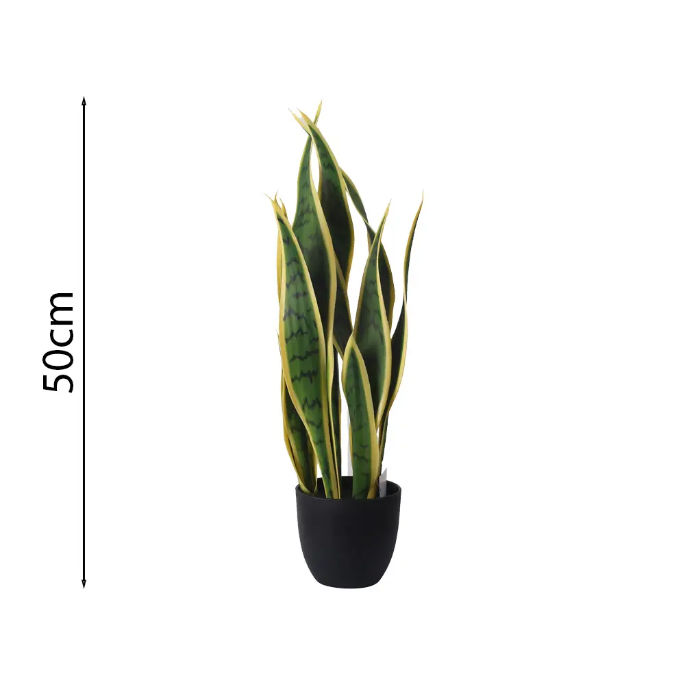 Planta Sansevieria 40cm