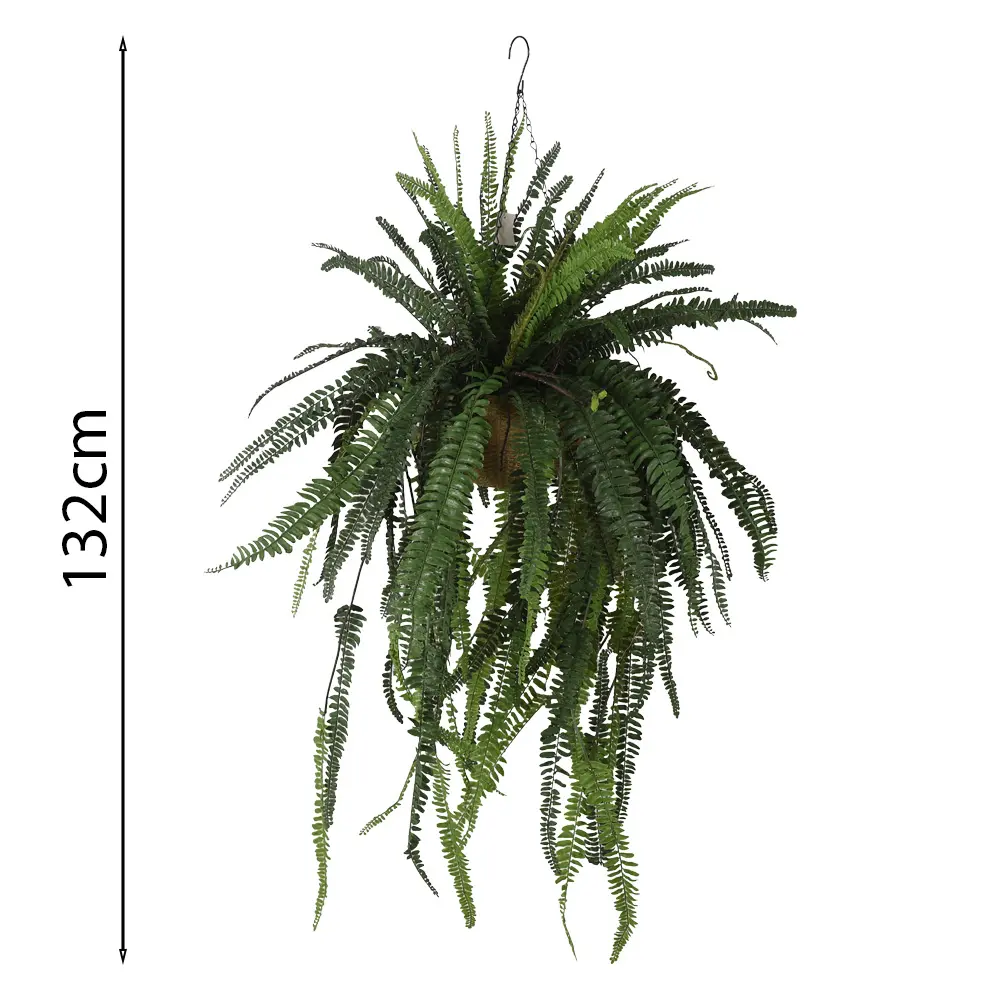 Helecho Colgante 132cm