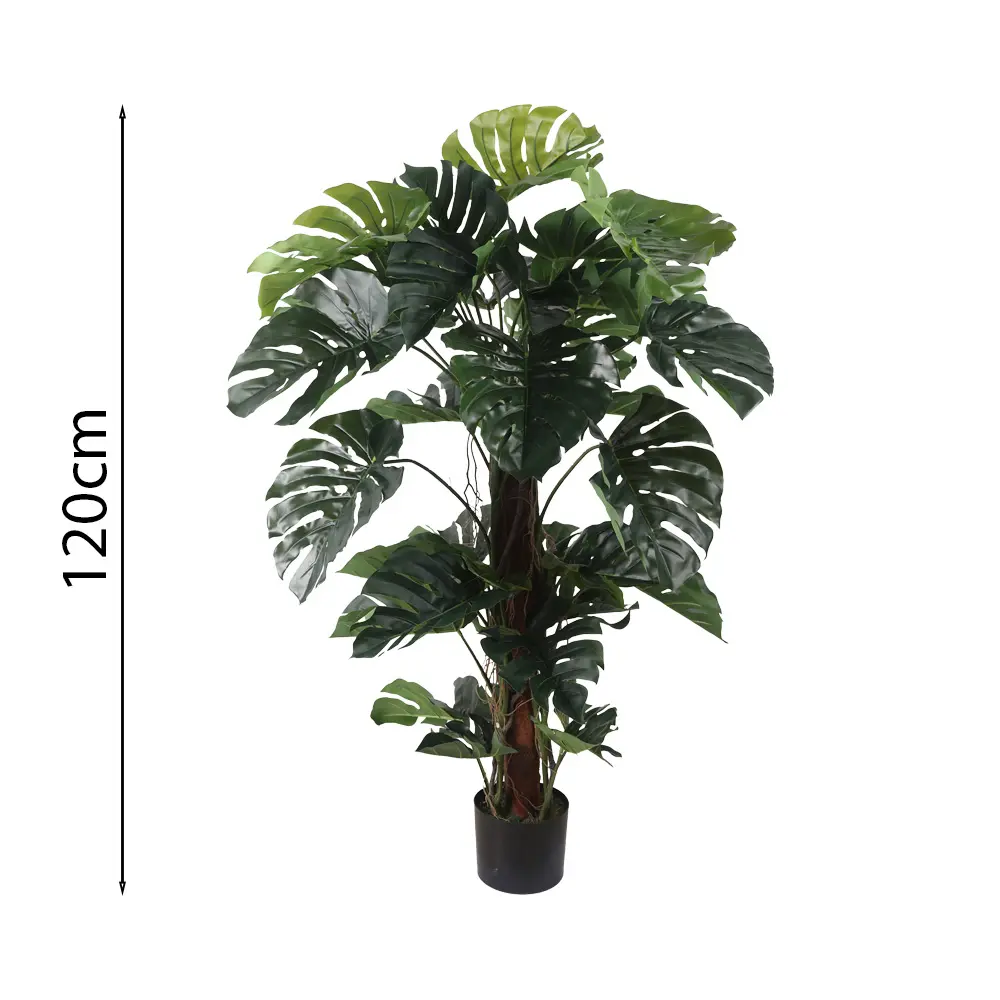 MONSTERA CON MACETA 130CM
