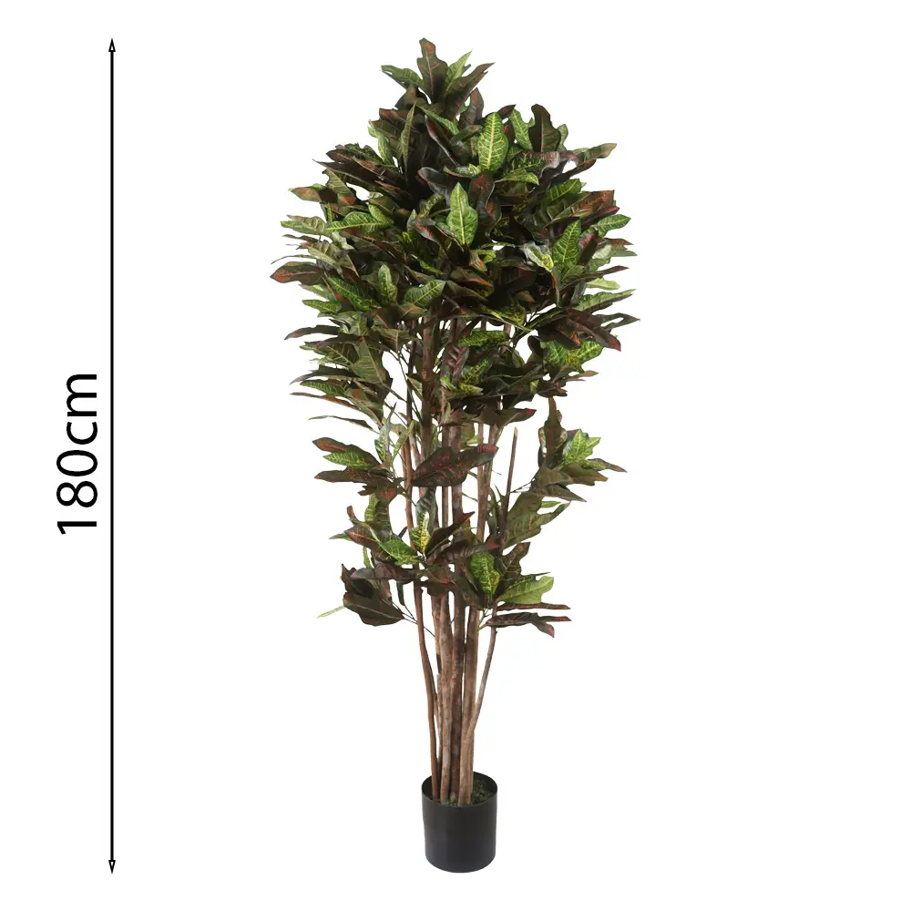 CROTON CON MACETA 180CM