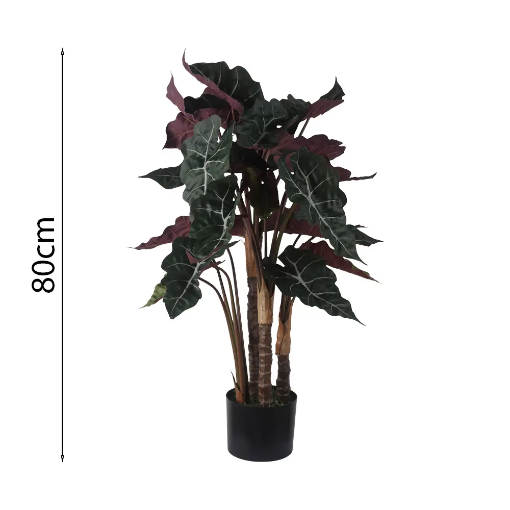 Alocasia En Maceta 80cm