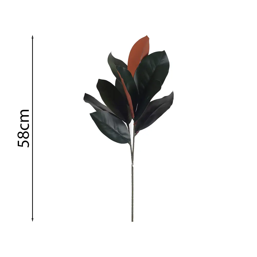 Hoja Magnolia 58cm