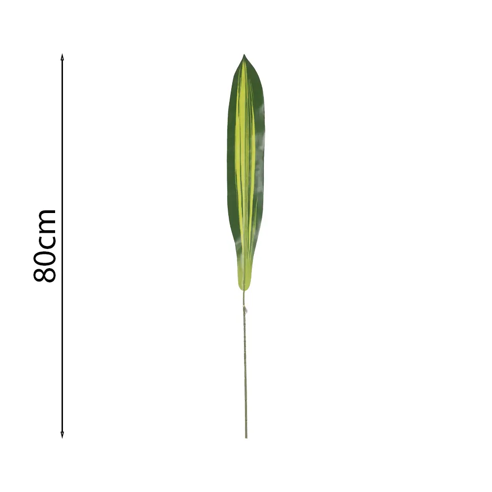 Hoja de Aspidistra 80cm
