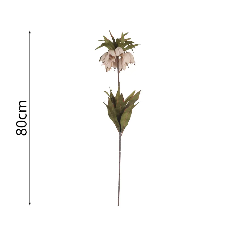 Vara Fritilaria 80cm