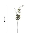 Vara de Acacia Silvestre 100cm