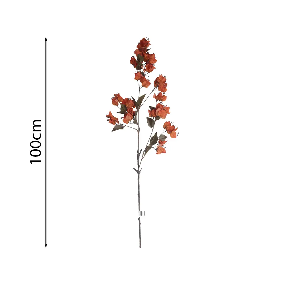 Vara de Buganvilla Colgante 100cm
