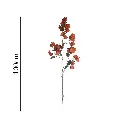 Vara de Buganvilla Colgante 100cm