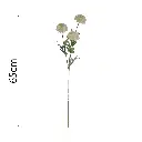 Vara Crisantemo Scabiosa 65cm