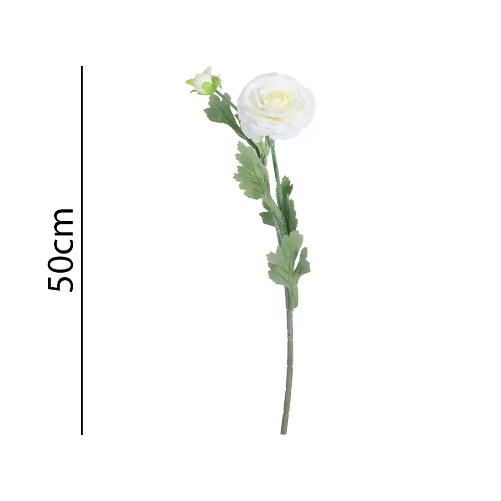 Vara ranunculo 50cm 2头露莲50CM