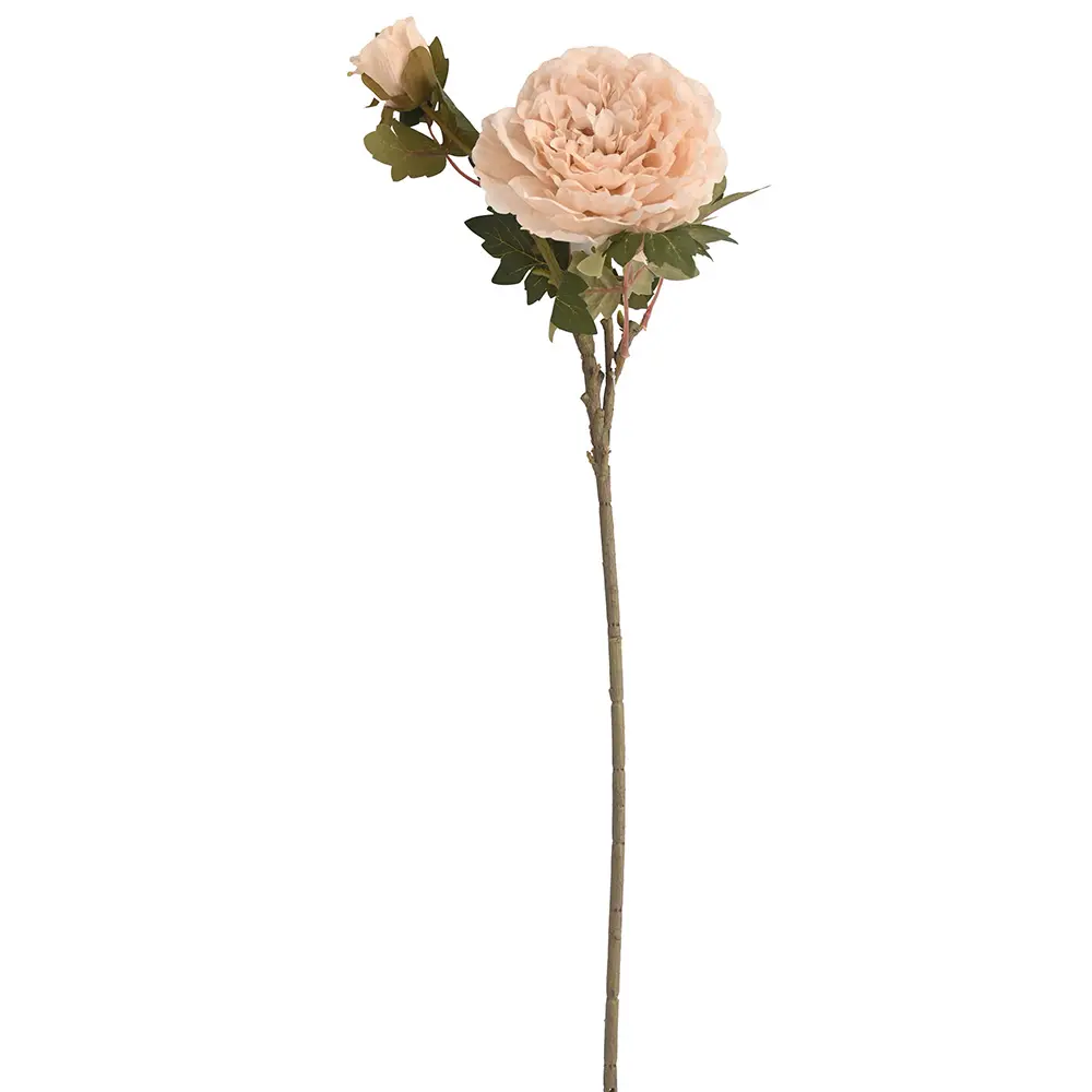 VARA FLOR PEONIA*2 70CM