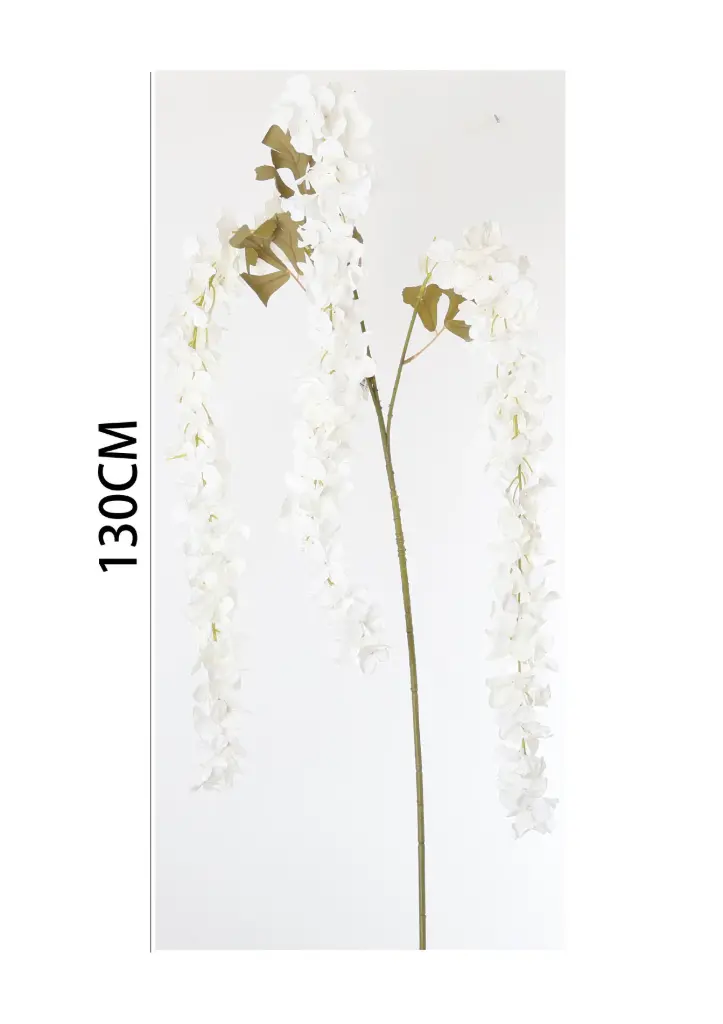 Vara Wisteria Sinensis