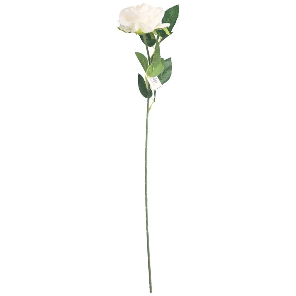 VARA ROSA*1