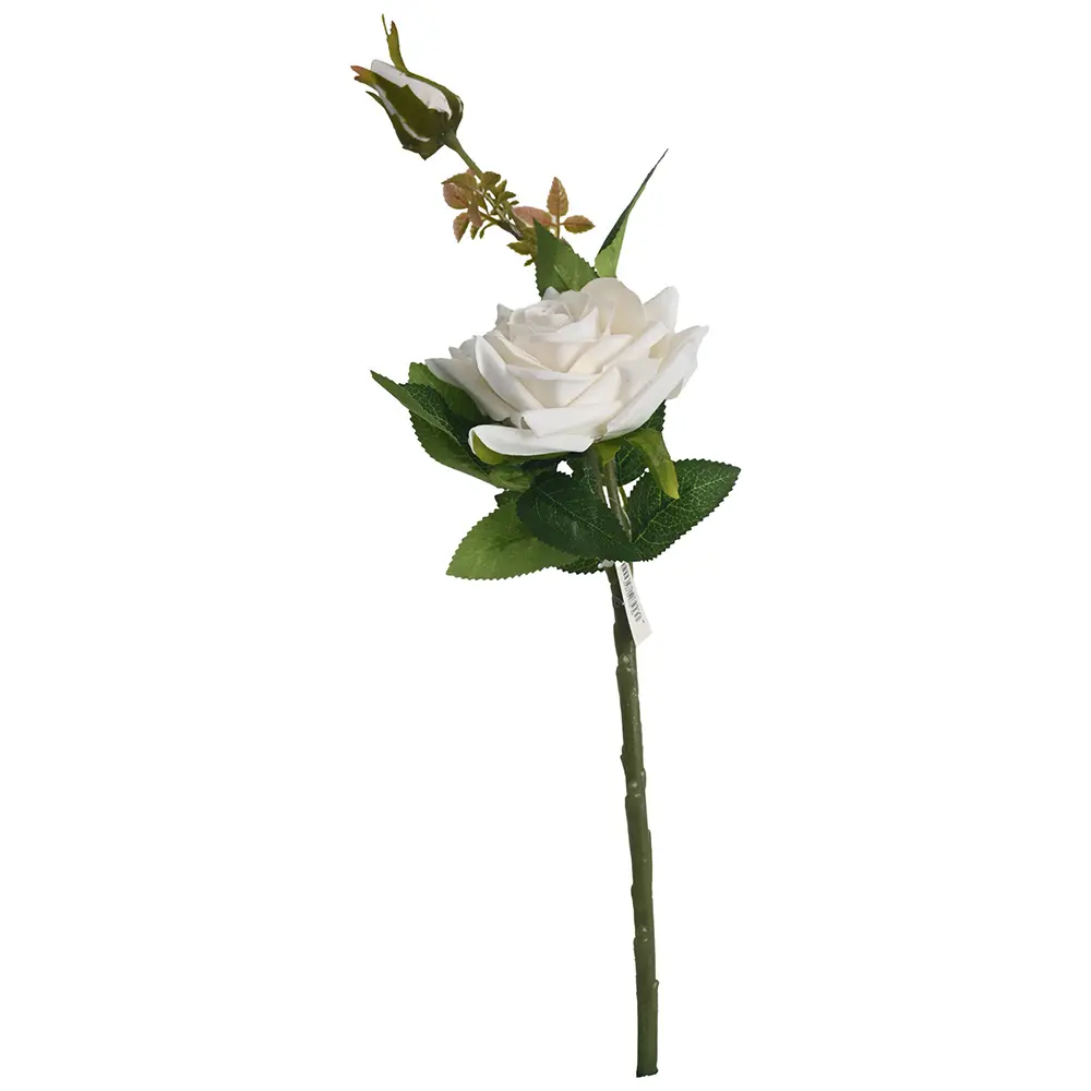 ROSA*2 TALLO CORTA