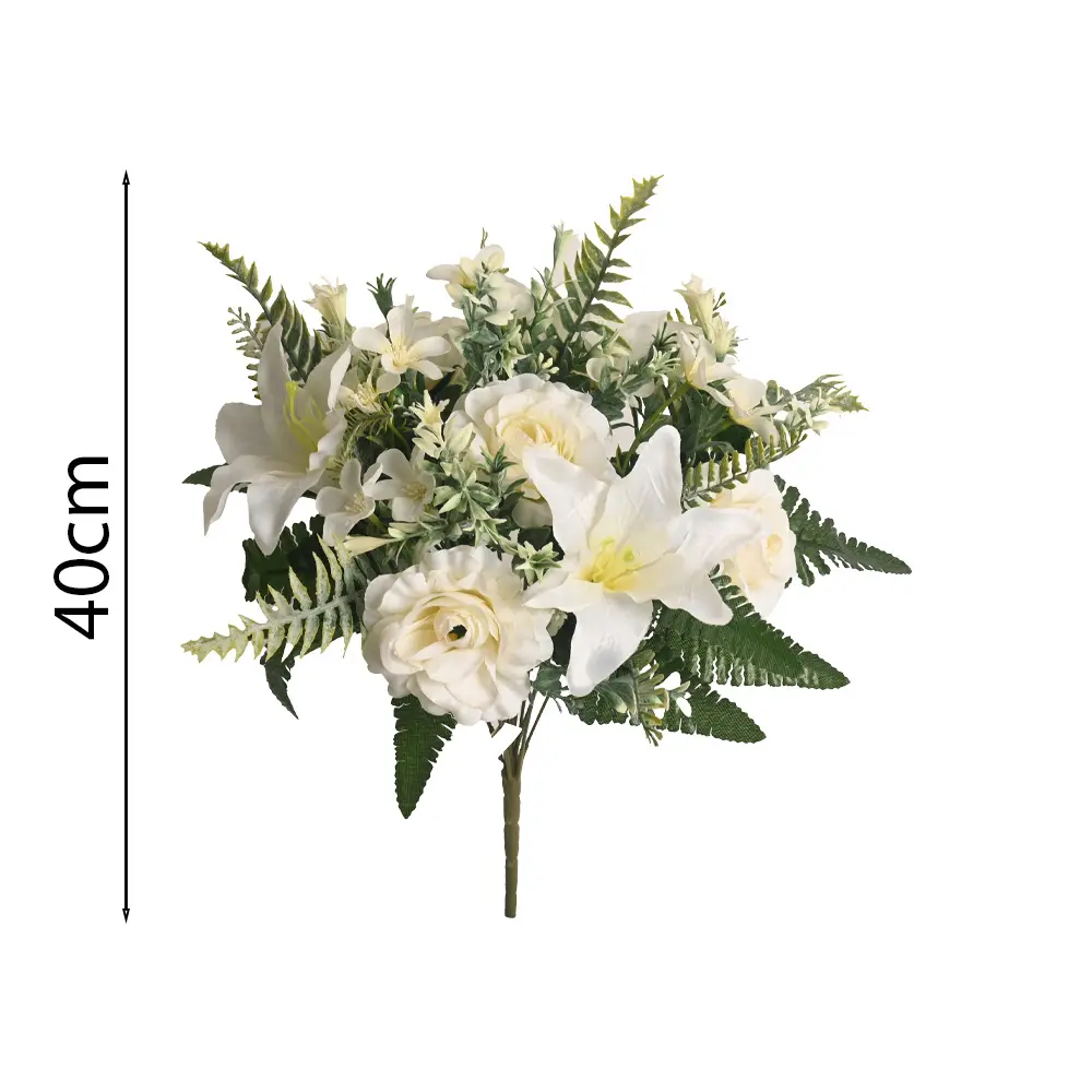RAMO Camellia bush x 11