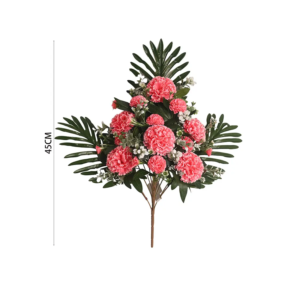 Carnation half bush X 12