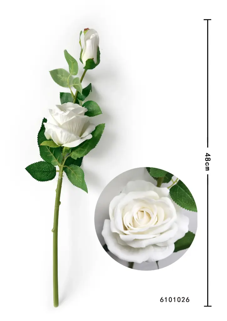 ROSA TALLO CORTO