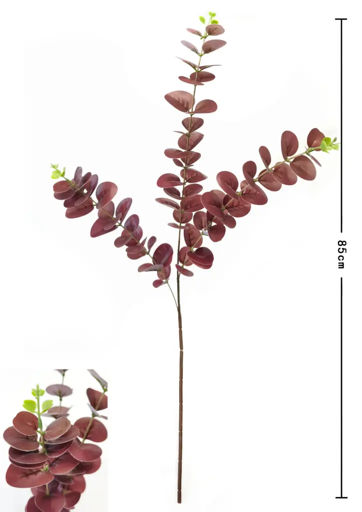 VARA EUCALIPTO 85CM