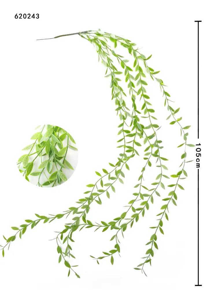 TIRA VERDE