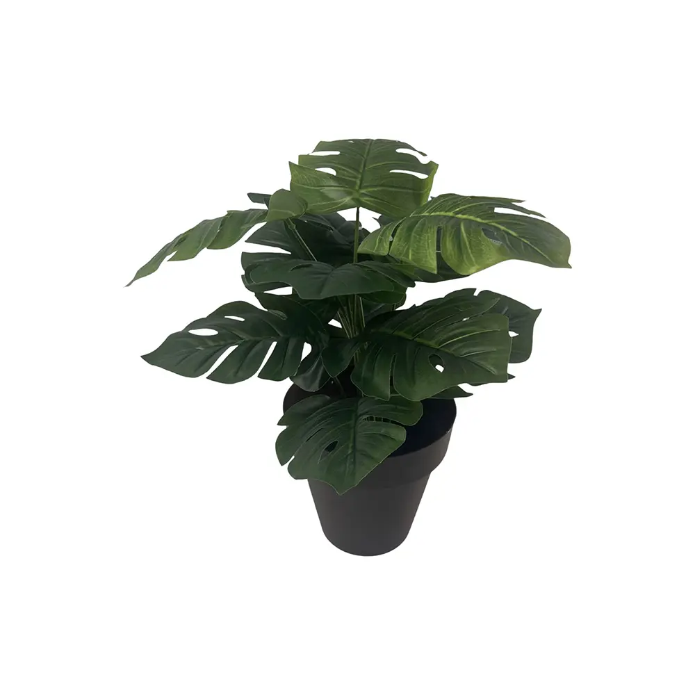 PLANTA CON MACETA MONSTERA/CALATHEA 45CM