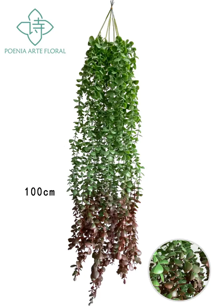 TIRA VERDE PLANTA