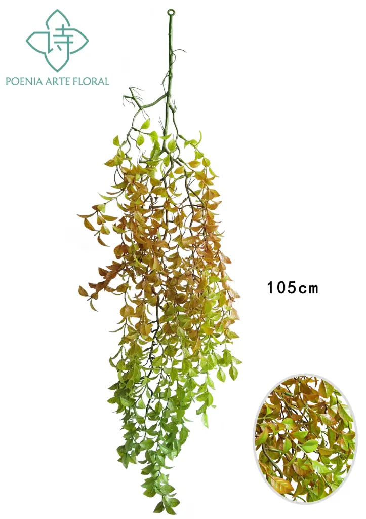 PLANTA COLGANTE
