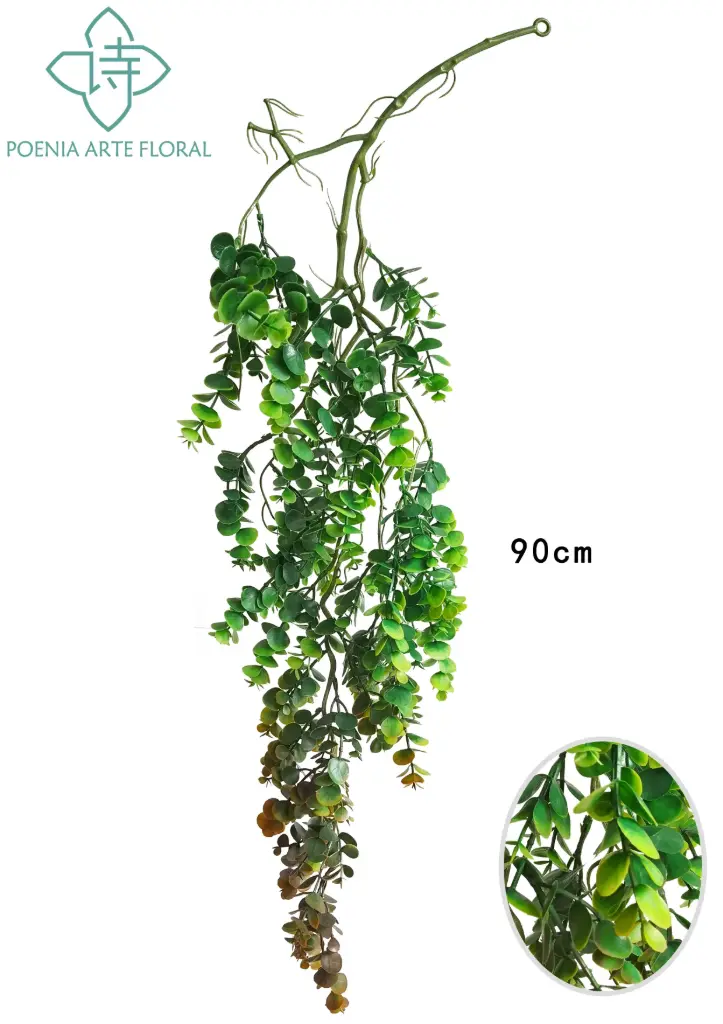 PLANTA COLGANTE