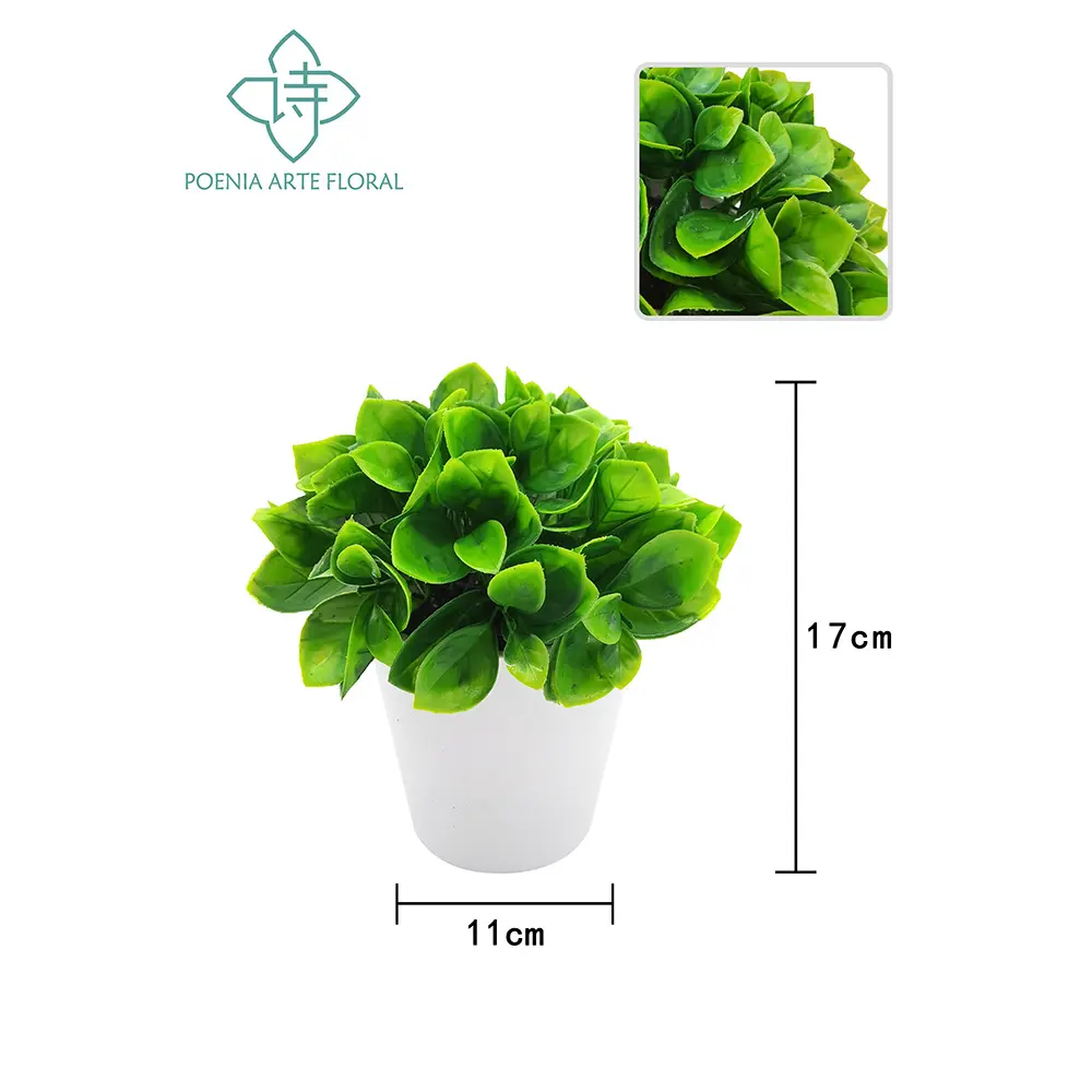 PLANTA CON MACETA