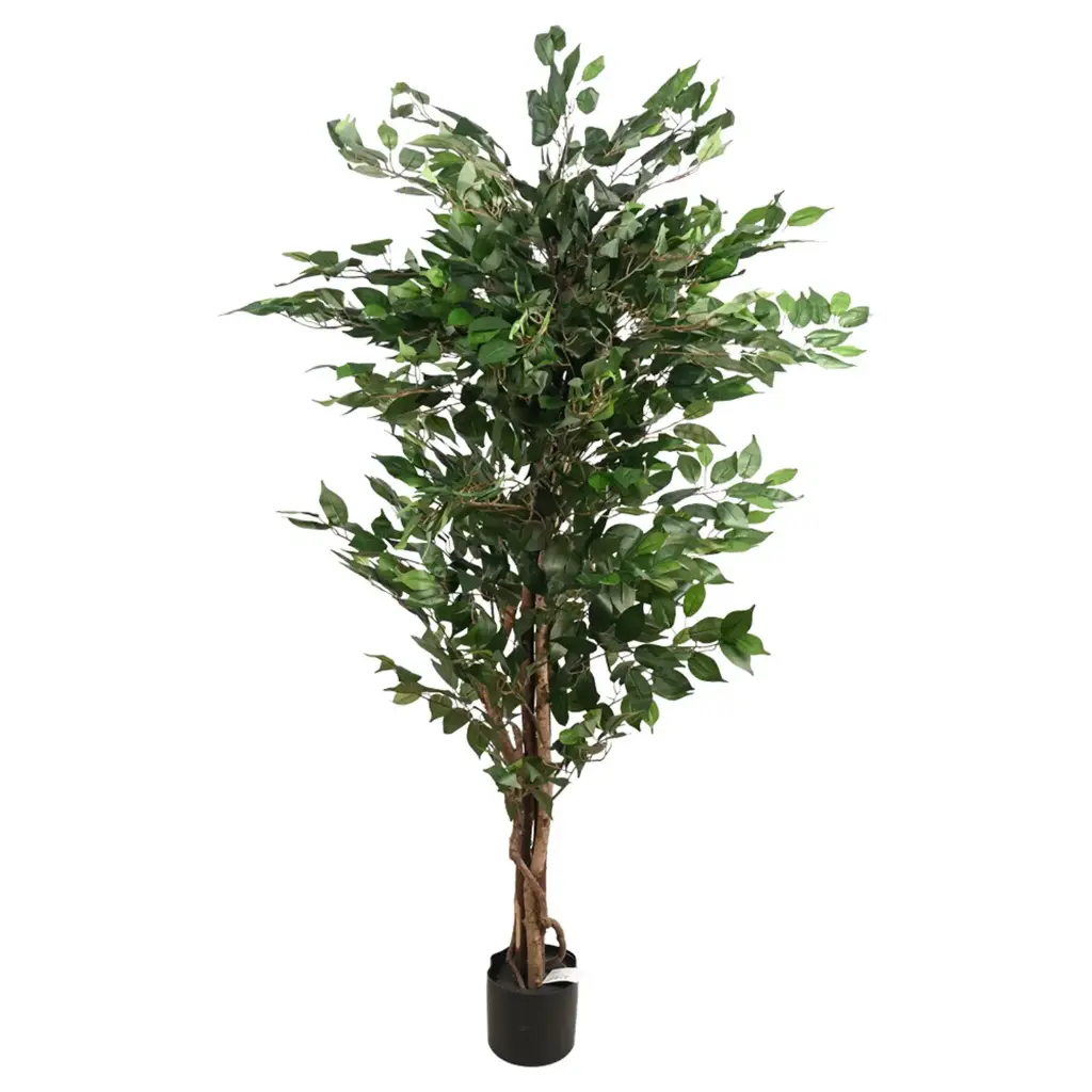 Arbol  FICUS 170CM