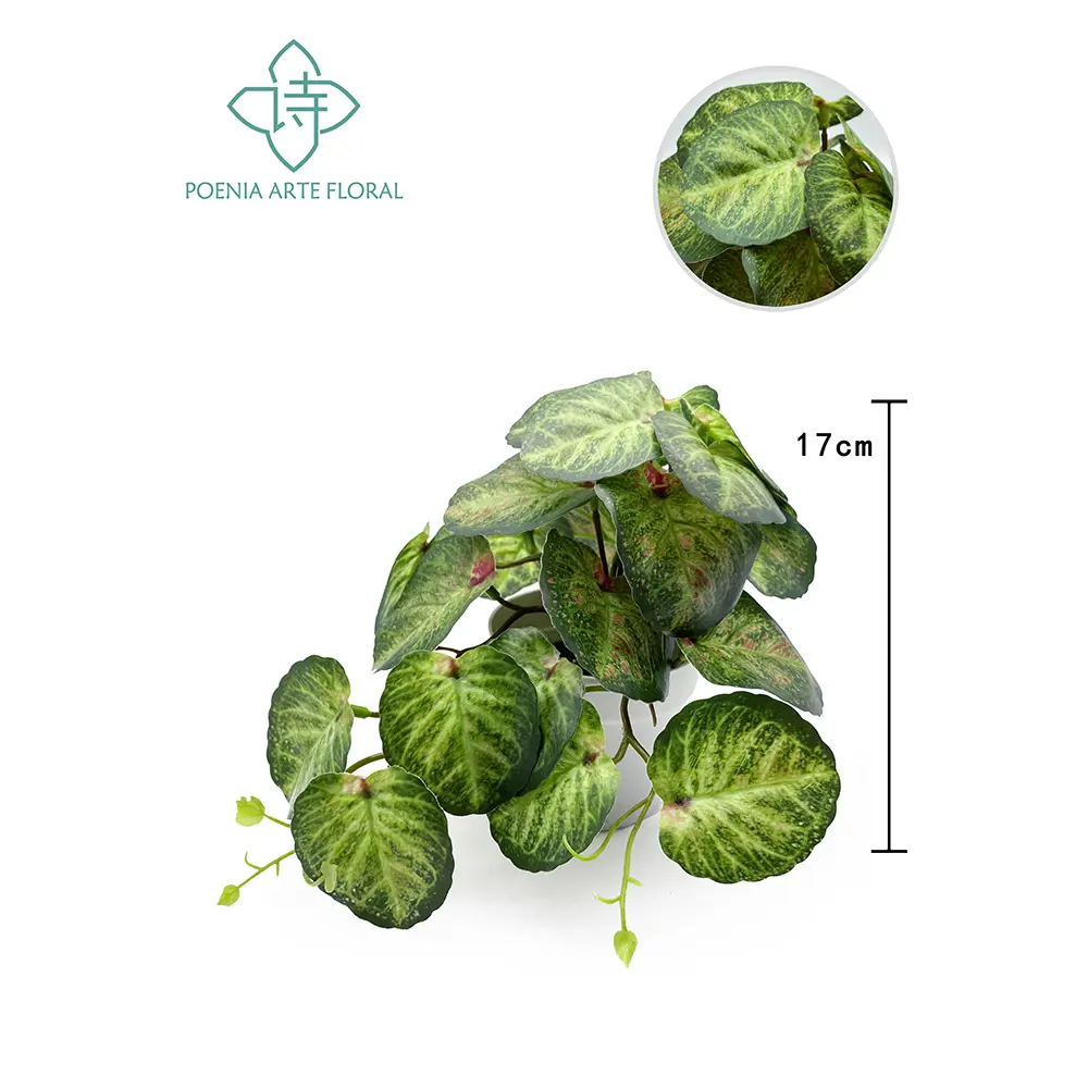 10*10" PLANTA BUSH X23LVS