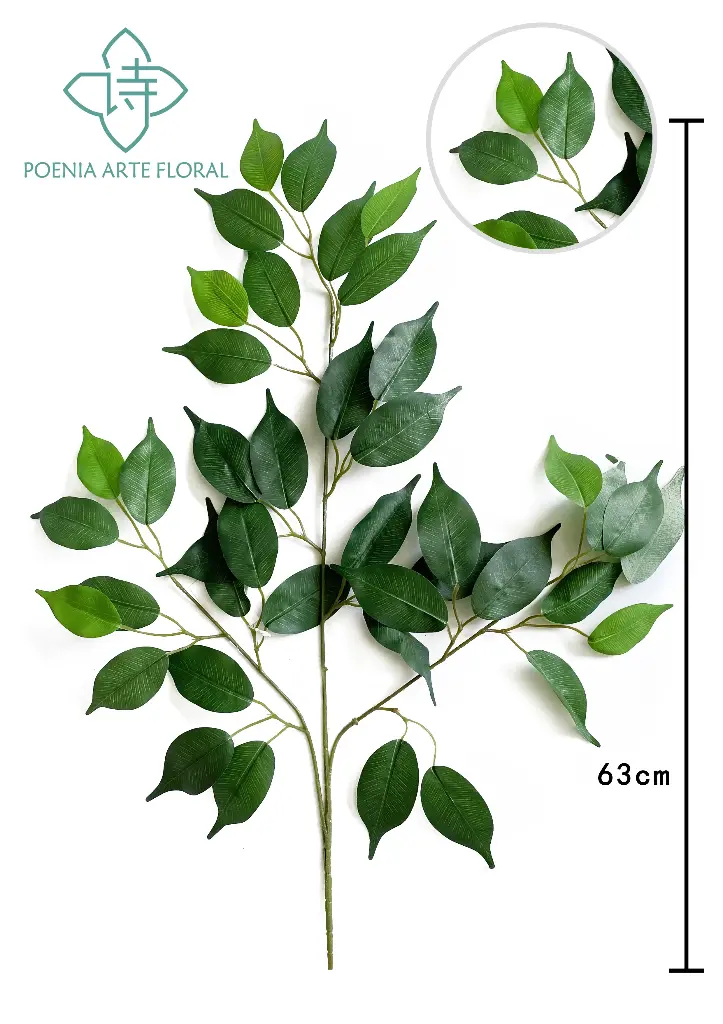 22" FICUS HOJA X42 LVS