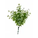 RAMO VERDE