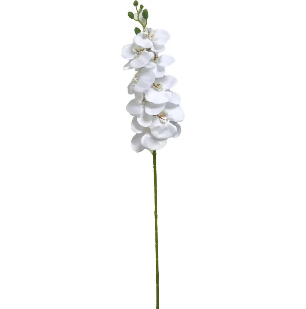 VARA ORQUIDEA*8