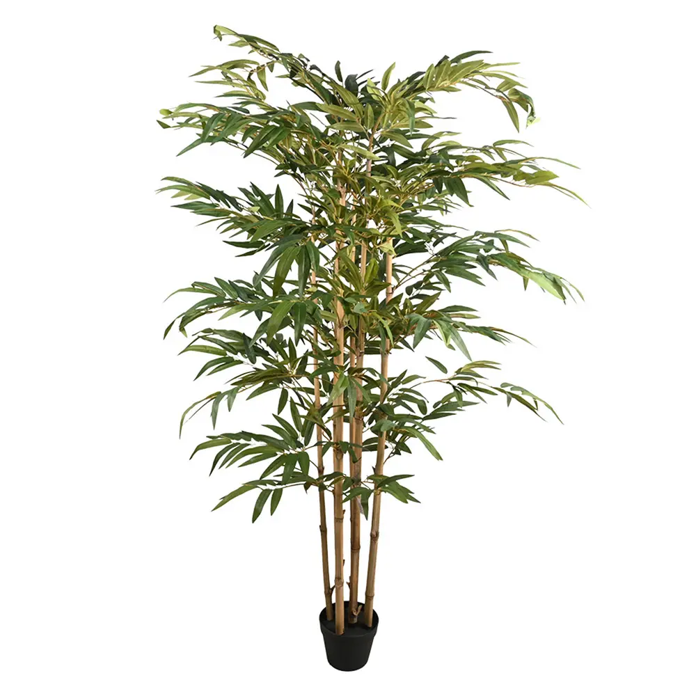 180CM Bamboo Tree x5W/1008Lvs