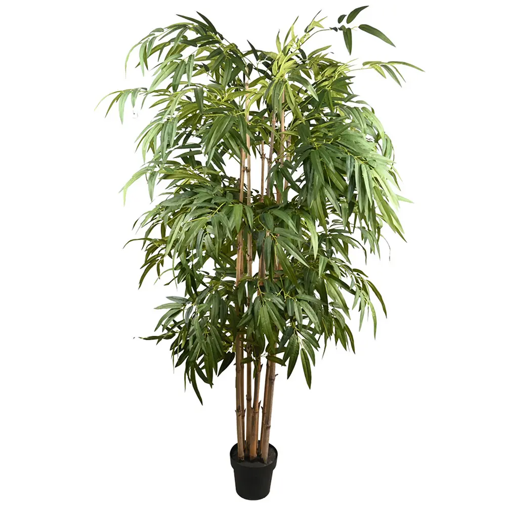 210CM BAMBOO TREE X8W/1824LVS