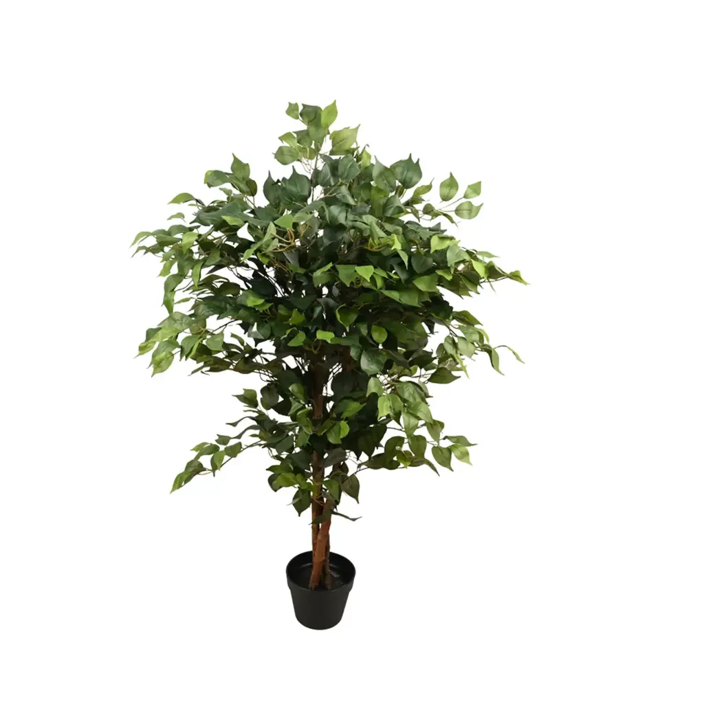 FICUS EN MACETA 122CM